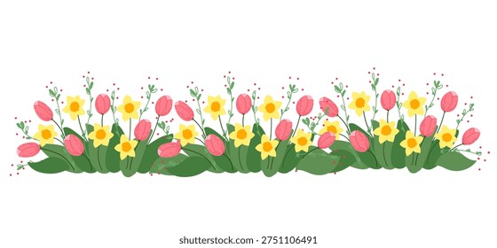Tulips and daffodils flower horizontal flowerbed edge in flat cartoon  design. Spring seasonal bouquet border with tulip and narcissus blossom, delicate ornament for greeting card. Vector illustration