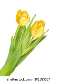 Tulips decorative background with copy space. EPS 10 vector file included