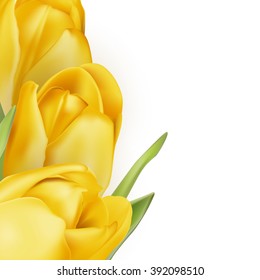 Tulips decorative background with copy space. EPS 10 vector file included