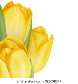 Tulips decorative background with copy space. EPS 10 vector file included