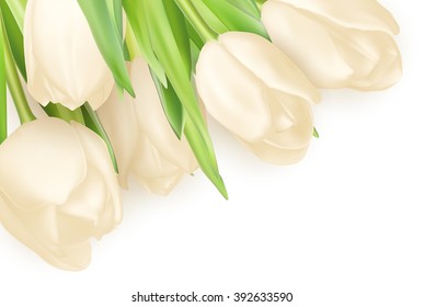 Tulips decorative background with copy space. EPS 10 vector file included