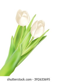 Tulips decorative background with copy space. EPS 10 vector file included