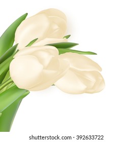 Tulips decorative background with copy space. EPS 10 vector file included