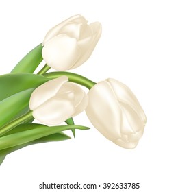 Tulips decorative background with copy space. EPS 10 vector file included