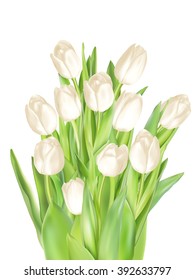 Tulips decorative background with copy space. EPS 10 vector file included