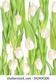 Tulips decorative background with copy space. EPS 10 vector file included