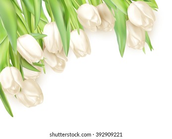 Tulips decorative background with copy space. EPS 10 vector file included