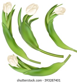 Tulips decorative background with copy space. EPS 10 vector file included