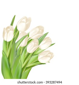 Tulips decorative background with copy space. EPS 10 vector file included