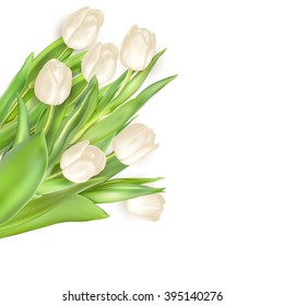 Tulips decorative background with copy space. EPS 10 vector file included