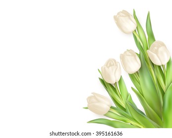Tulips decorative background with copy space. EPS 10 vector file included