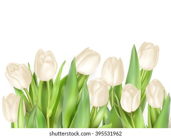 Tulips decorative background with copy space. EPS 10 vector file included