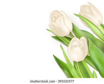 Tulips decorative background with copy space. EPS 10 vector file included