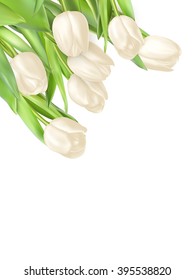 Tulips decorative background with copy space. EPS 10 vector file included