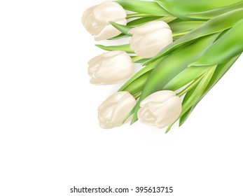 Tulips decorative background with copy space. EPS 10 vector file included