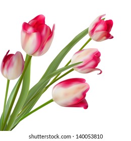 Tulips design template or background 20130528-2