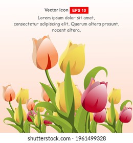 Tulips design template or background