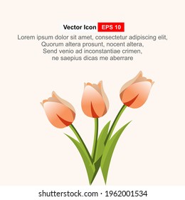 Plantilla de diseño de tulipanes o fondo.