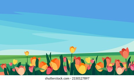 Tulips of different colors on the meadow. Beautiful nature landscape.