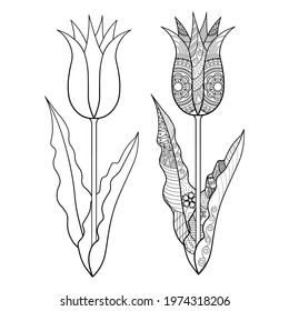 Tulips with a doodle pattern. Black outline drawing of the page of a coloring book for adults and children. Decorative isolated element on a white background.
