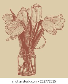 Tulips. drawing style. vector illustration.