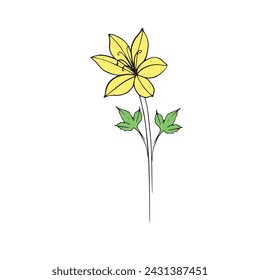 tulips drawn in vector, spring flower. Mother's Day card