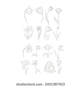 tulipanes dibujados en vector, flor de primavera. Tarjeta del Día de la Madre
