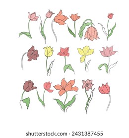 tulips drawn in vector, spring flower. Mother's Day card