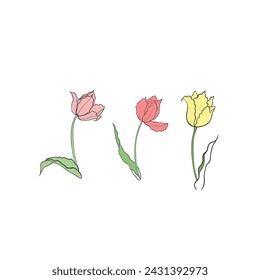 tulips drawn in vector, spring flower. Mother's Day card