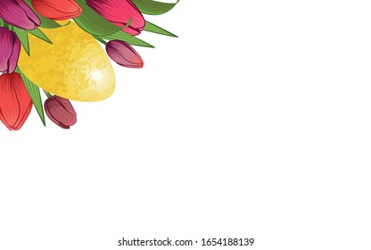 Tulipanes y huevo de Pascua. Pascua. Sobre un fondo blanco, tulipanes coloreados, huevo dorado. Hay espacio para el texto.  Imagen multicolor. Elemento decorativo. Ilustración vectorial.