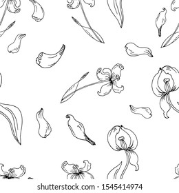 Tulips with the fallen petals. Seamless pattern. Vector illustration.