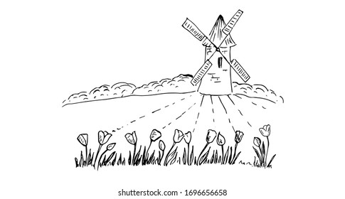Tulips in the fields. Windmill. Vector illustration. Hand drawing, sketch.