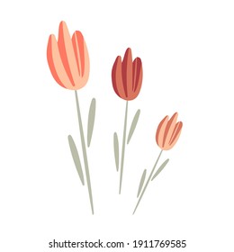 Tulpen, flacher Vektor. Blumenstrauß in warmen Erdtönen. Romantische Blumenarrangements auf weißem Hintergrund. Frühlingspflanzen für Druck, Stoff, Postkarte