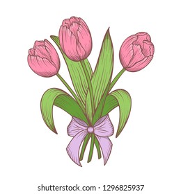 Tulips flower bouquet with bow. Colorful hand drawn vector illustration. Floral botanical flower.