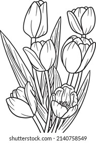 Tulips Flower Coloring Page Adults Stock Vector (Royalty Free ...