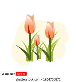 Tulips Flower Flat Icon In White Background.
