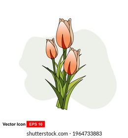 Tulips Flower Flat Icon In White Background.