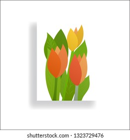 tulips flower flat vector illustration