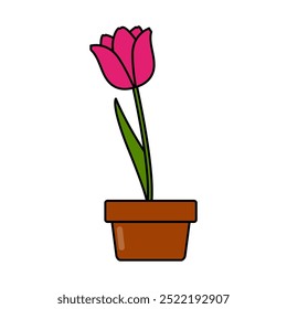 tulips Flower graphic vector assete