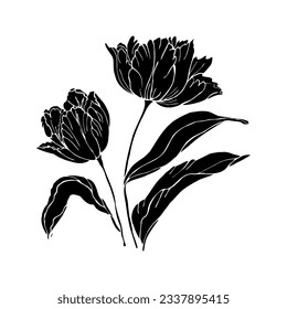 Tulips flower with leaves, hand drawn vector silhouette illustration isolate illustration 