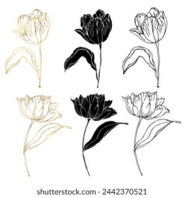 Tulips flower with leaves set, golden foil, silhouette and ink line art. Spring floral hand drawn vector illustration, isolate on white background