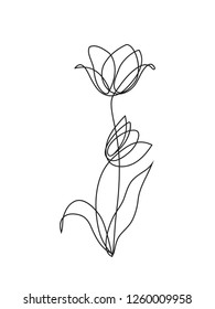 40+ Best Collections Minimalist Plant Drawing Aesthetic - Ibedang