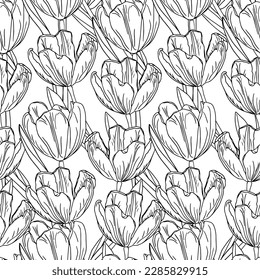 Tulips flower seamless pattern, spring background