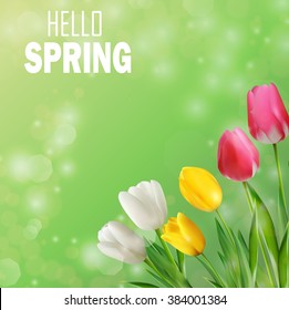 Tulips flowers with bokeh background.Vector