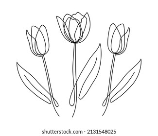 Tulips flowers continuous one line art. Minimalist contour drawing. Single one line drawing. Vector illustration