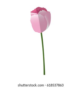 tulips flowers design