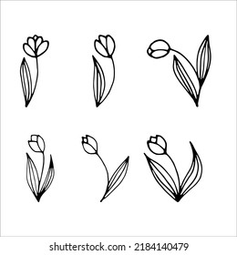 Tulips flowers doodle style vector illustration isolated on white background