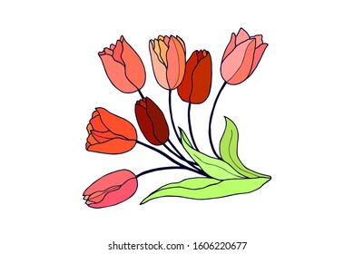 tulips flowers. eps10 vector stock illustration. hand drawing