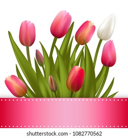 Tulips. Flowers. Floral background. 