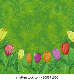 Tulips flowers, leafs and contours on abstract green background. Vector eps10, contains transparencies